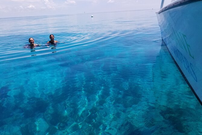 Key West: Snorkel, Sandbar & Dolphin Excursion - Snorkeling where the captain finds the best water