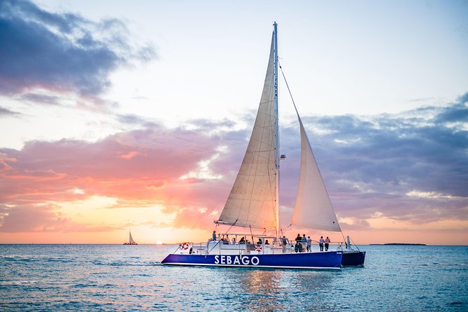 Key West Sunset Sail: Dolphin Watching, Wine, and Tapas - Looking for dolphins in open water