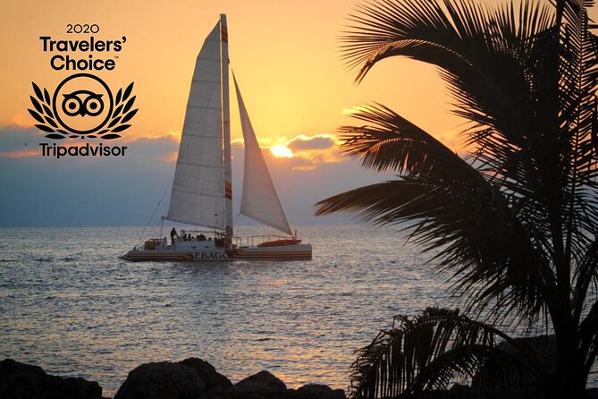 Key West Sunset Sail: Dolphin Watching, Wine, and Tapas - Passing Mallory Square and Fort Zachary Taylor