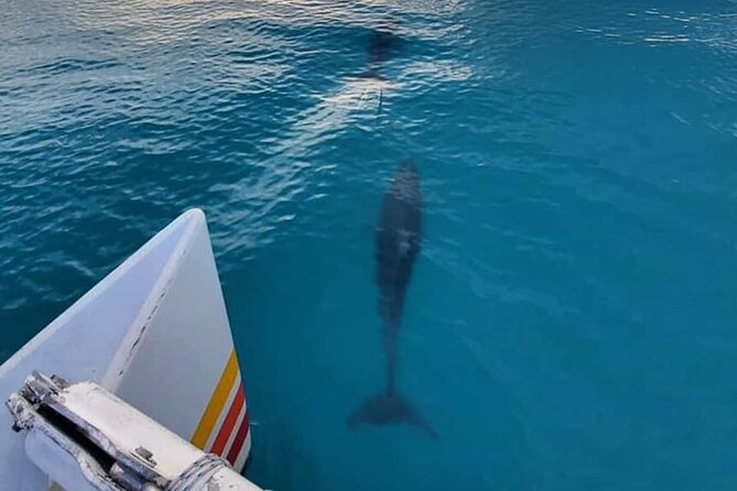 Key West Sunset Sail: Dolphin Watching, Wine, and Tapas - A two-and-a-half-hour route along the southern shore