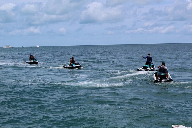 Key West Tours from Miami: Dolphin Discovery, Snorkeling & More ! - Dolphin watching and the reef experience