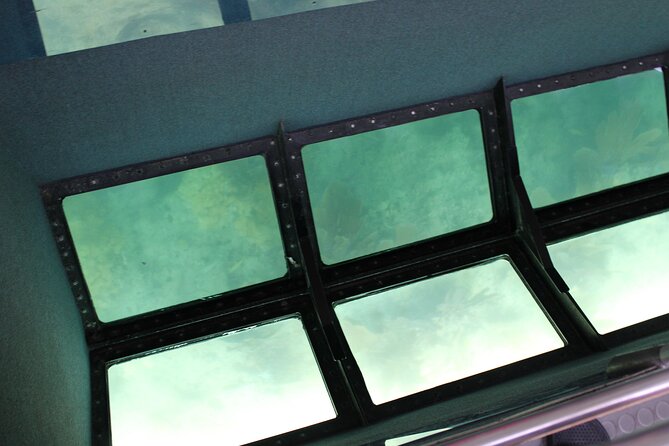 Key West Tours from Miami: Dolphin Discovery, Snorkeling & More ! - Who will enjoy this trip most