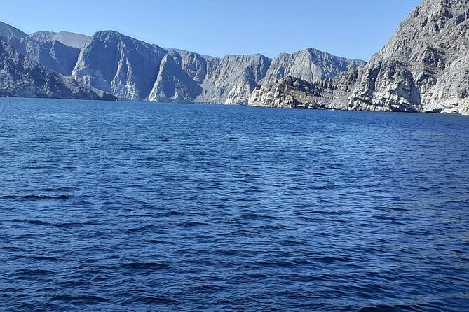 Khasab Dhow cruise-Half day with summing, dolphin watching - Why this four-hour Khasab cruise works so well