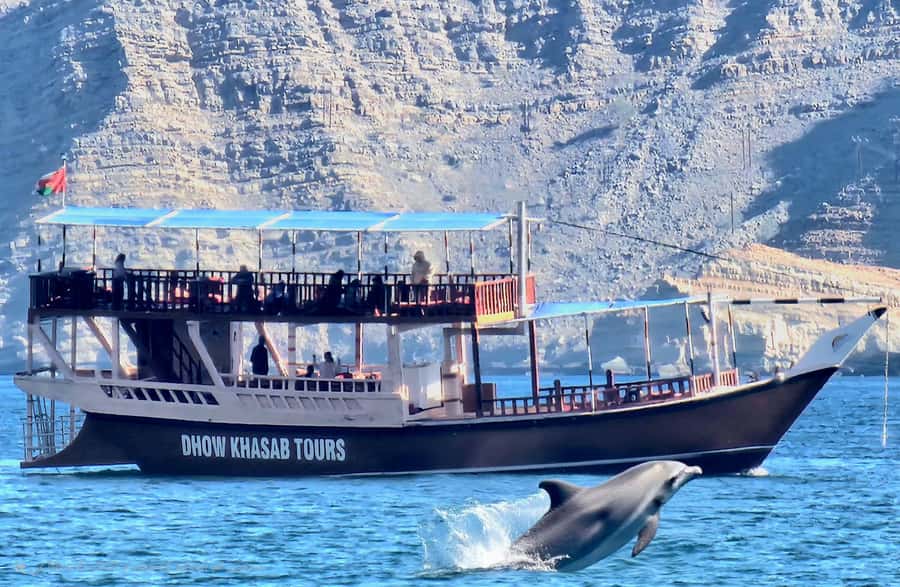 Khasab: Dhow Cruise with Lunch, Dolphin Watching& Snorkeling - Dolphin watching inside the fjords