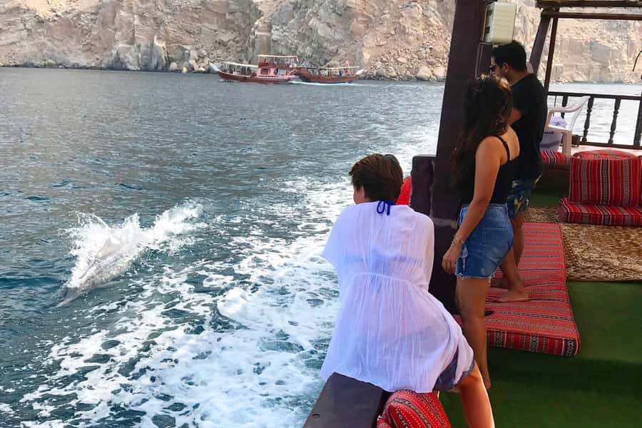Khasab: Dolphin Watching Day Tour with Snorkeling & Lunch - Who will enjoy this dhow cruise most