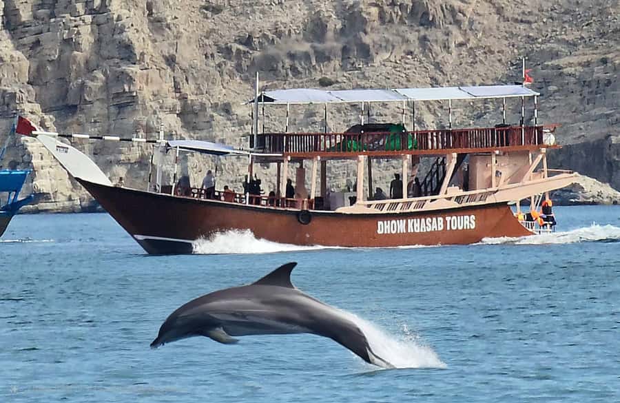 Khasab: Half-Day Dhow Cruise, Dolphin Watching, & Snorkeling - Why the Musandam fjords make this cruise worthwhile