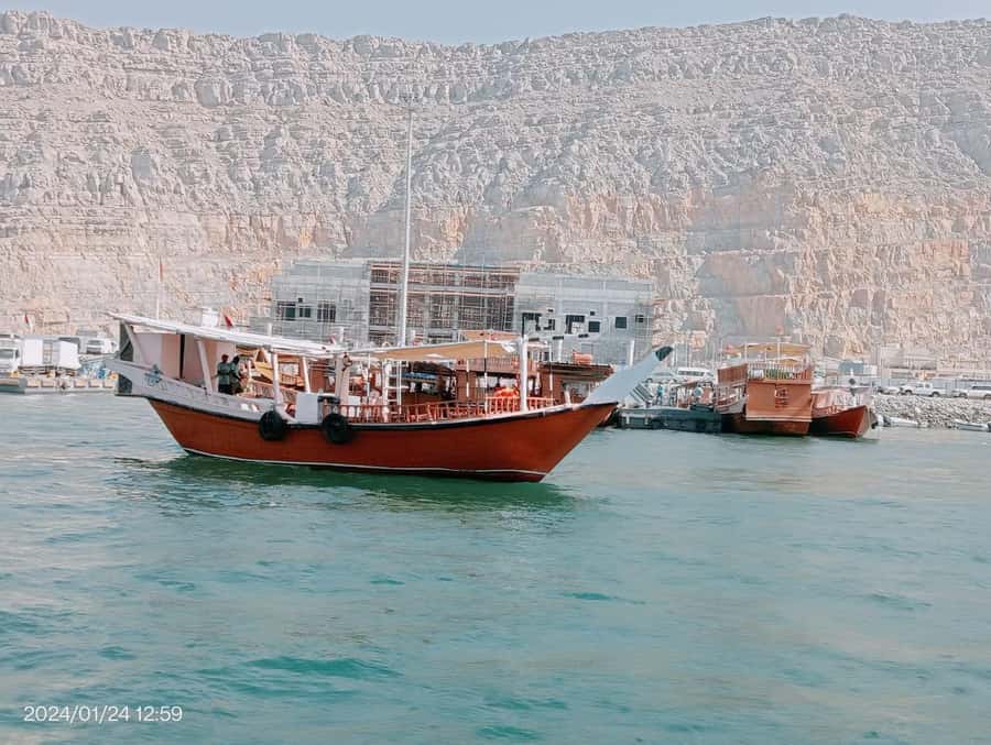 Khasab: Half-Day Dhow Cruise, Dolphin Watching, & Snorkeling - Who should book this dhow cruise?