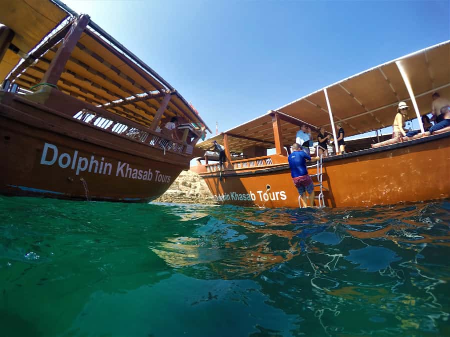 Khasab: Half-Day Dhow Cruise with Dolphin Watching - Telegraph Island and the 40-minute swim
