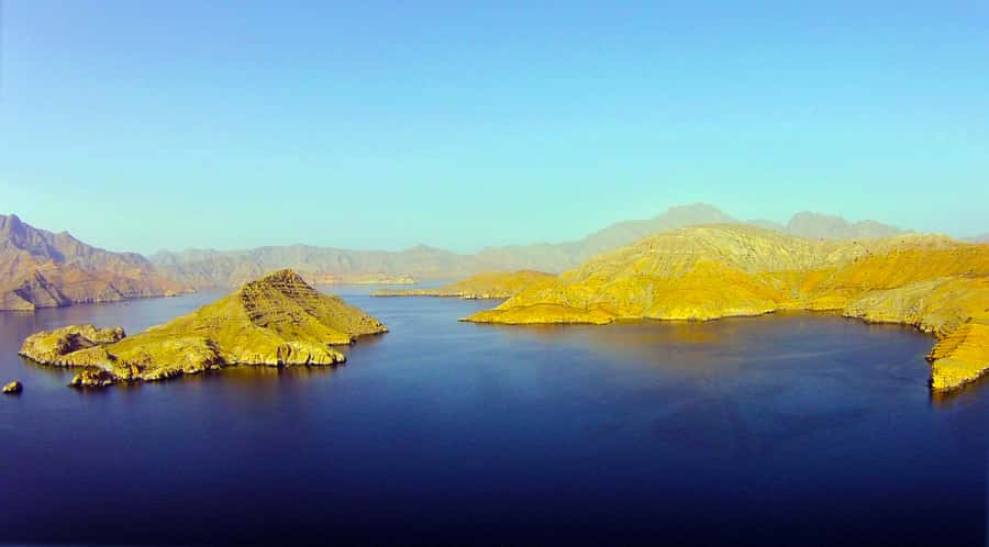 Khasab: Half-Day Dhow Cruise with Dolphin Watching - Booking, cancellation, and practical limits