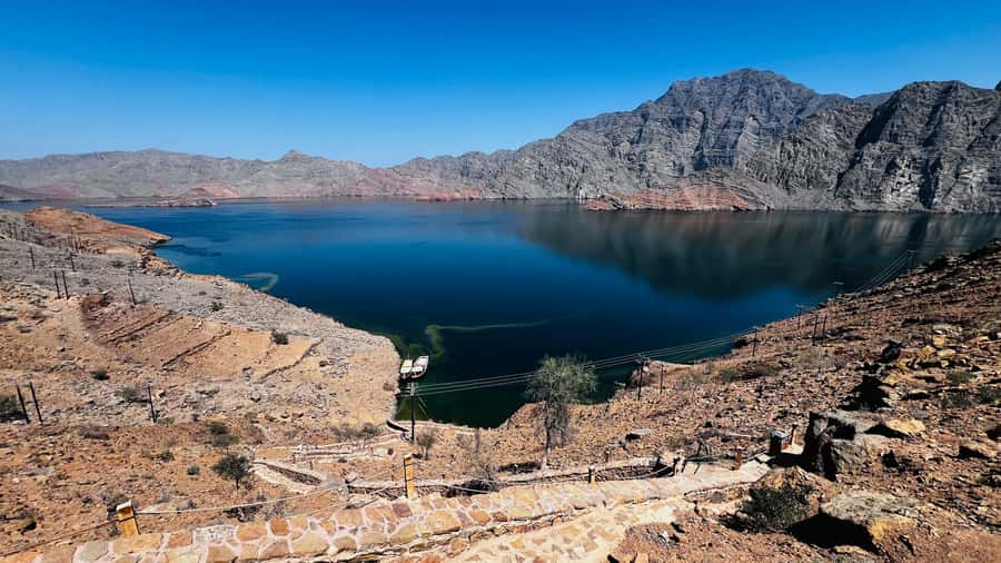 Khasab Musandam |Telegraph Island |Dhow Cruise | Dolphins - Timing, transfers, and the port meeting point