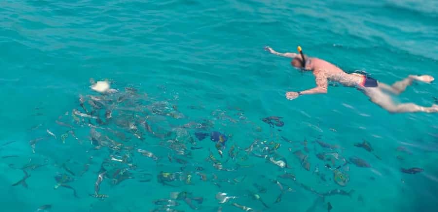 Khasab Musandam |Telegraph Island |Dhow Cruise | Dolphins - Khor Shimm and the mountain-framed coast