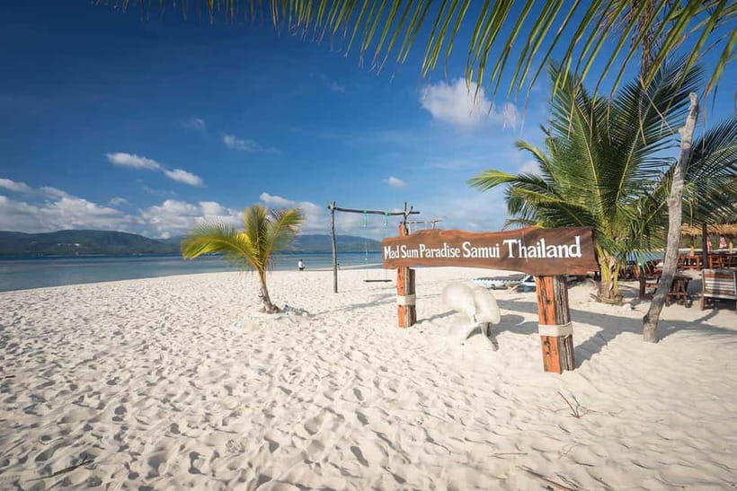 Koh Samui Pink Dolphin Sightseeing and Snorkelling Tour - Searching for pink dolphins near Khanom