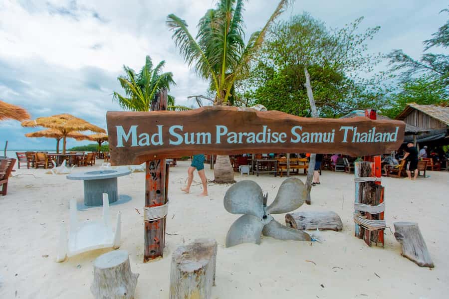 Koh Samui: Pink Dolphin Spotting & Pig Island Speedboat Tour - Key points before you book