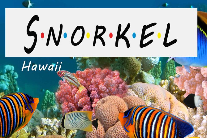 Kona Shore Excursion: Wild Dolphin Reefs Snorkel and Sea Caves - Lava cliffs, sea caves, and the Captain Cook coast