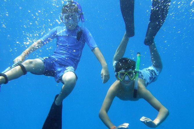 Kona Shore Excursion: Wild Dolphin Reefs Snorkel and Sea Caves - Booking details that matter