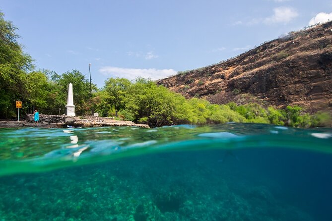 Kona Shore Excursion: Wild Dolphin Reefs Snorkel and Sea Caves - Dolphins, whales, and the rules that changed