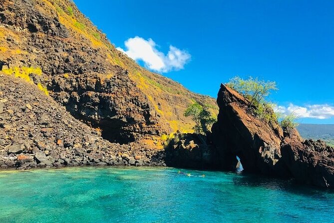 Kona Snorkel Tour: Captain Cook Reef Snorkel, Dolphin & Sea Caves - Dolphins are possible, but swimming with them is not