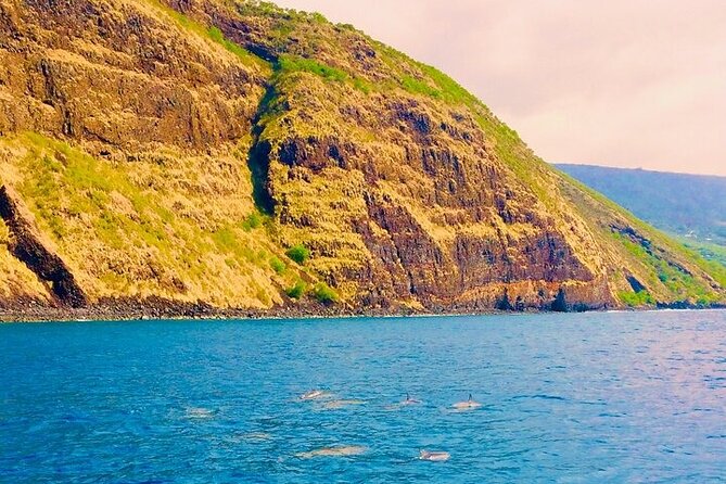 Kona Snorkel Tour: Captain Cook Reef Snorkel, Dolphin & Sea Caves - Timing, gear, and small practical details