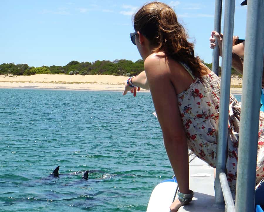 Koombana Bay: Dolphin Eco Cruise - What the departure process is really like