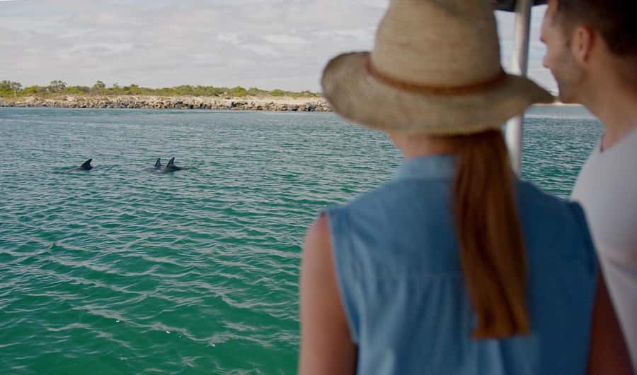 Koombana Bay: Dolphin Eco Cruise - Is $46 good value for 90 minutes?