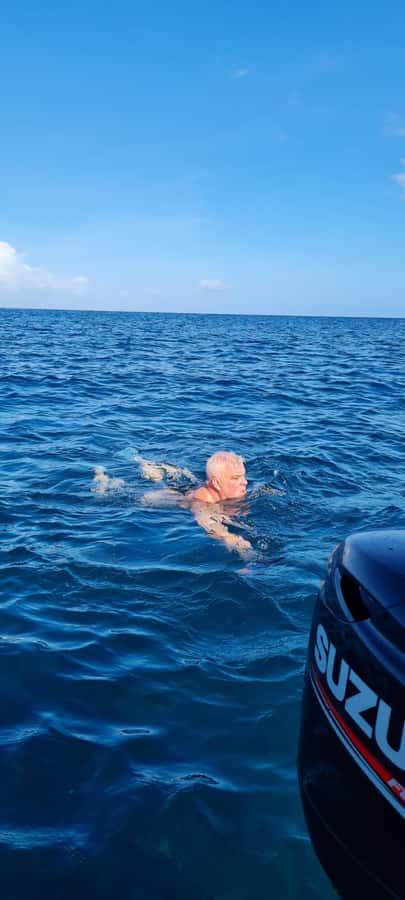 La Preneuse: Dolphin Swimming and Snorkeling Speedboat Trip - Should you book La Preneuse dolphin swimming?