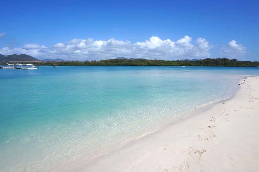 La Preneuse: Dolphin Swimming and Snorkeling Speedboat Trip - Speedboat searching along Mauritius’s west coast