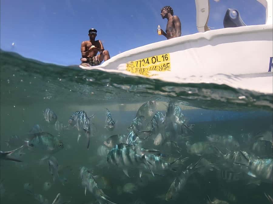 La Preneuse: Dolphin Watching and Snorkeling Speedboat Tour - La Preneuse is a practical launch point