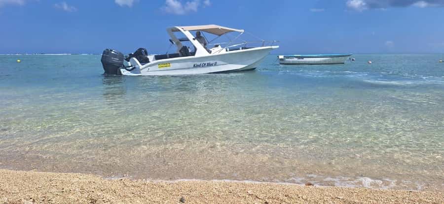 La Preneuse: Dolphin Watching and Snorkeling Speedboat Tour - The lagoon snorkel and its 15 minutes