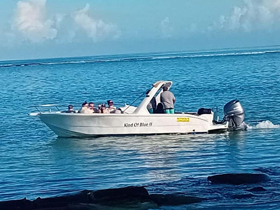 La Preneuse: Dolphin Watching and Snorkeling Speedboat Tour - What the $58 price really buys you