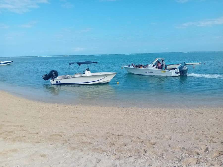 La Preneuse: Dolphin Watching and Snorkeling Speedboat Tour - What to pack for a smoother morning