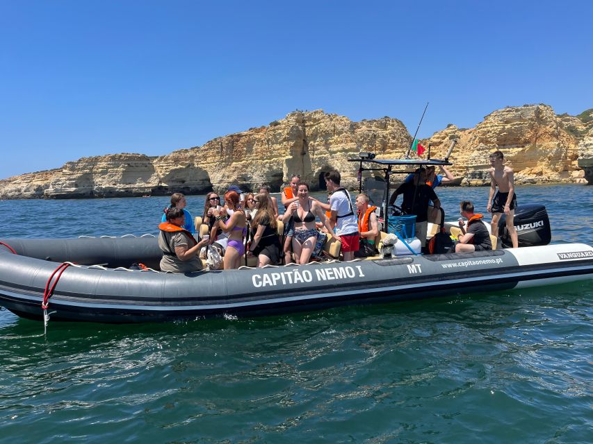 Lagoa: Dolphins Expedition with biologist guide on board - Responsible dolphin watching, not a staged performance