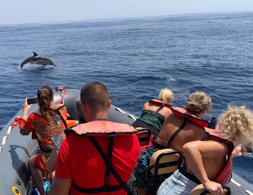 Lagoa: Dolphins Expedition with biologist guide on board - The first 10 minutes: a useful safety briefing