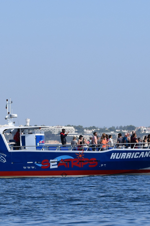 Lagos: Combo Dolphin and Benagil Tour with Marine Biologist - The return along the Algarve cliffs