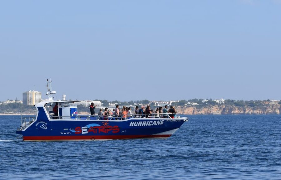 Lagos: Combo Dolphin and Benagil Tour with Marine Biologist - Who should book this experience?