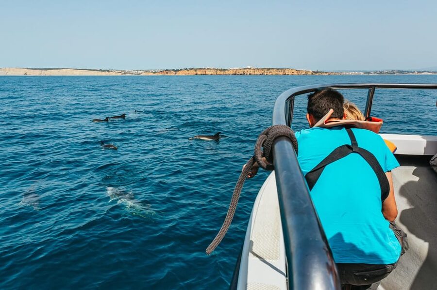 Lagos: Dolphin Watch Tour with Professional Marine Biologist - The return to Lagos and the practical rhythm of the trip