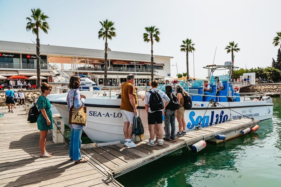 Lagos: Dolphin Watch Tour with Professional Marine Biologist - Is $42 a fair price for 90 minutes?