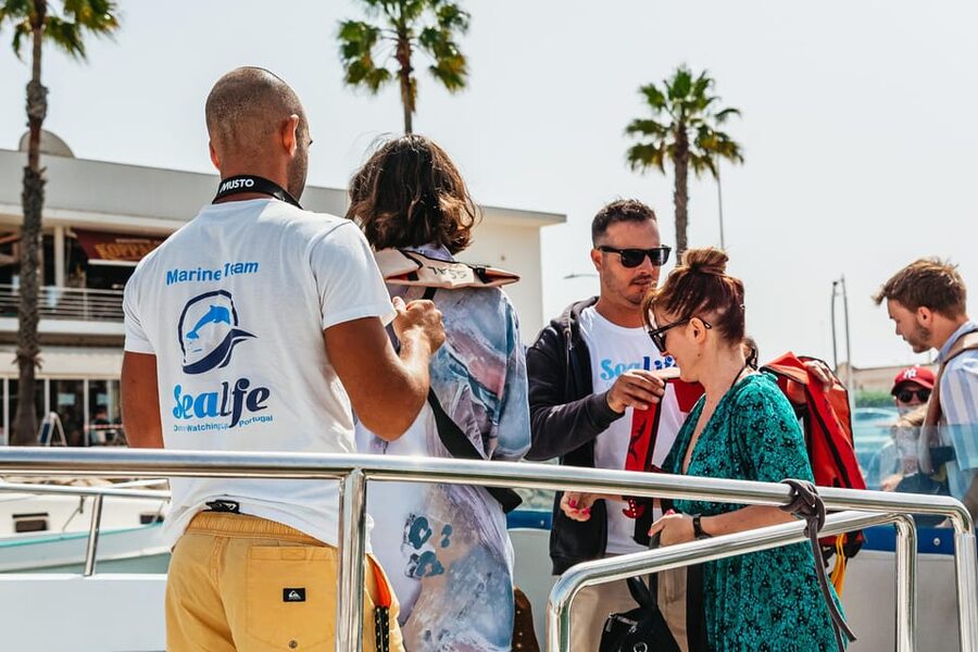 Lagos: Dolphin Watch Tour with Professional Marine Biologist - Should you book the Sealife Dolphin Watching Algarve tour?