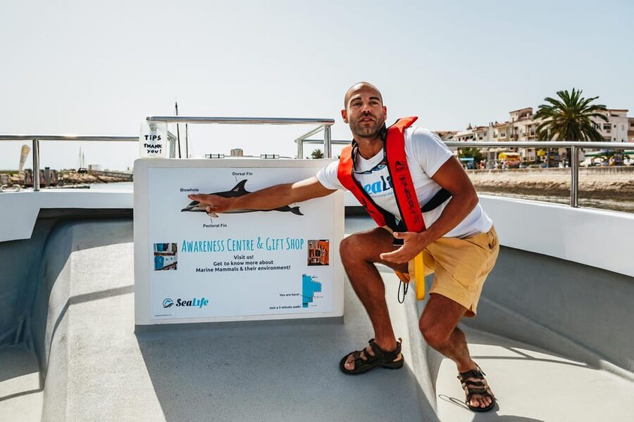 Lagos: Dolphin Watch Tour with Professional Marine Biologist - Why the marine biologist makes a difference