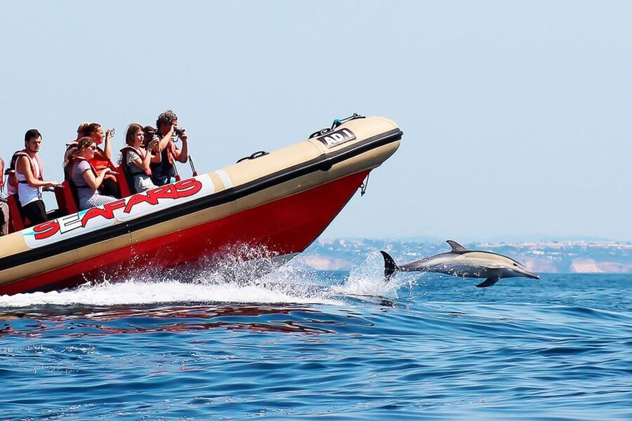 Lagos: Dolphin Watching with Professional Marine Biologists - The return ride and the 90-minute schedule