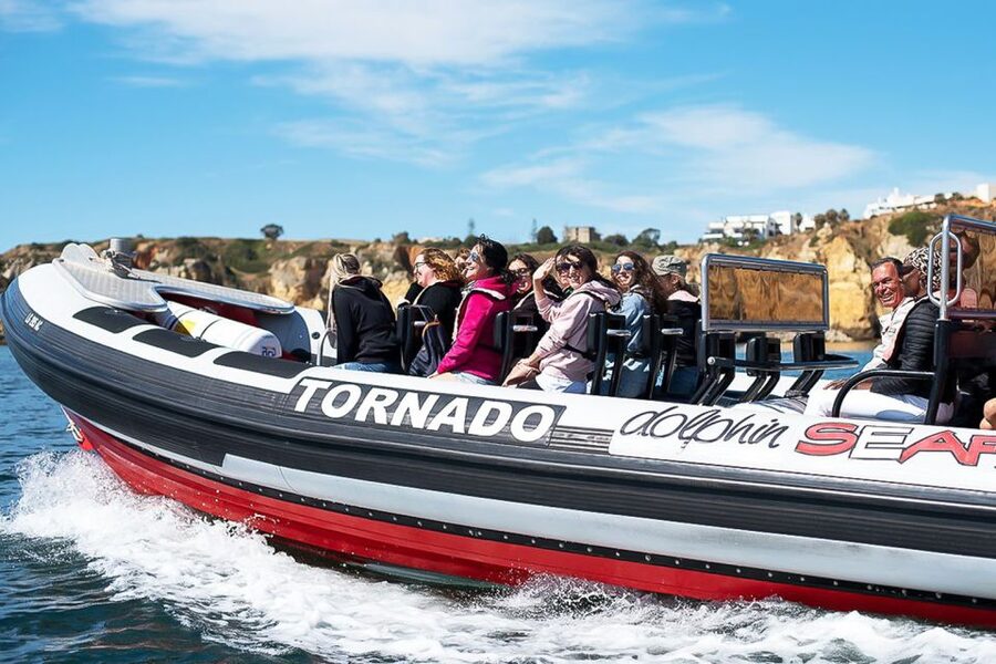 Lagos: Dolphin Watching with Professional Marine Biologists - How much value do you get for $40?