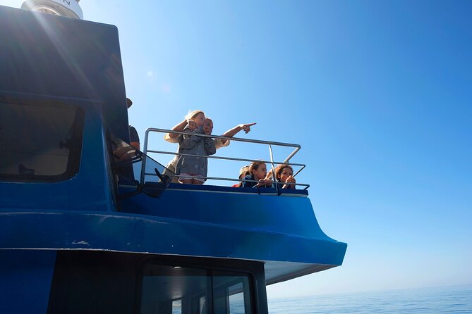 Lagos: Dolphins & Benagil Caves – Catamaran - A relaxed start from Lagos marina