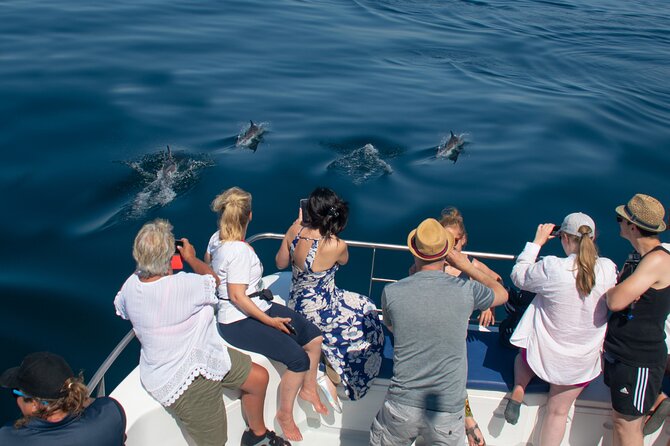 Lagos: Dolphins & Benagil Caves – Catamaran - Searching the Atlantic for dolphins