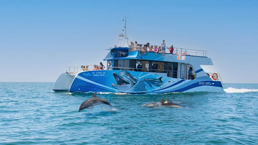 Lagos: Dolphins & Caves - Catamaran - Key points to know before you book
