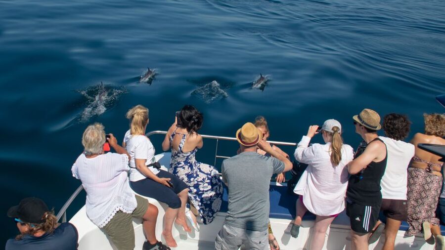 Lagos: Dolphins & Caves - Catamaran - Practical packing advice for Lagos
