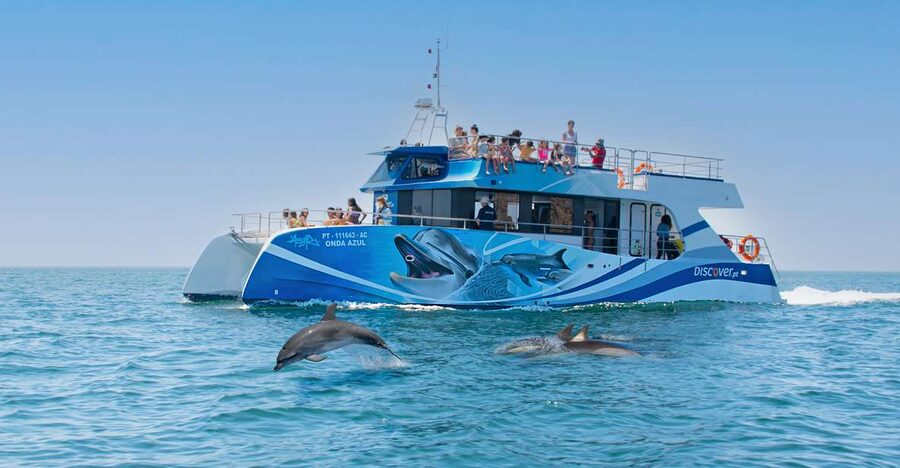 Lagos: Dolphins & Caves - Catamaran - Searching the Atlantic for wild dolphins