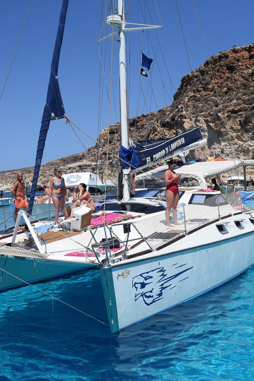 Lampedusa: Dolphin watching with aperitif at sunset - The swim stop after dark