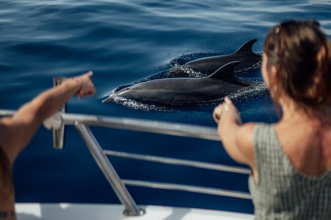 Lana'i Snorkel And Dolphin Quest with Maui Turtle Spot Tour - From Mala Boat Ramp to the open water