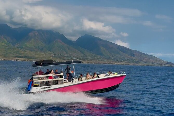 Lana'i Snorkel And Dolphin Quest with Maui Turtle Spot Tour - Snorkeling with Maui’s green sea turtles