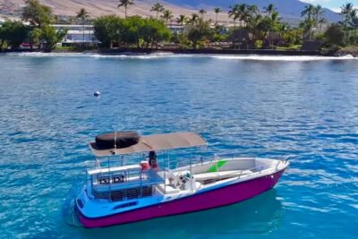 Lana’i Snorkel And Dolphin Quest with Maui Turtle Spot Tour