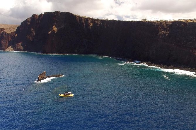 Lanai Deluxe Dolphin Adventure & 3 Snorkel Sites - Key things to know before you book